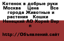 Котенок в добрые руки. Москва. › Цена ­ 5 - Все города Животные и растения » Кошки   . Ненецкий АО,Хорей-Вер п.